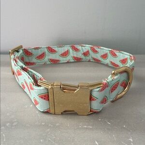 The Foggy Dog Watermelon Dog Collar